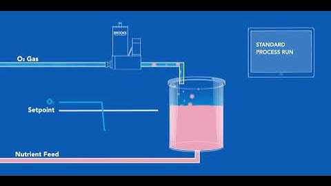 Digital Thermal Mass Flow Meter with Backflow Alarm