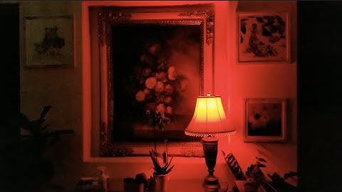 TJOY Smart RGB Color Changing Light Bulbs WiFi LED Works with Alexa & Google Home Siri Dimmable