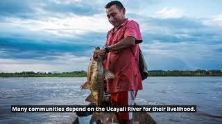 Mysterious Ucayali River Facts A Journey Through The Amazon Rainforest In Peru
