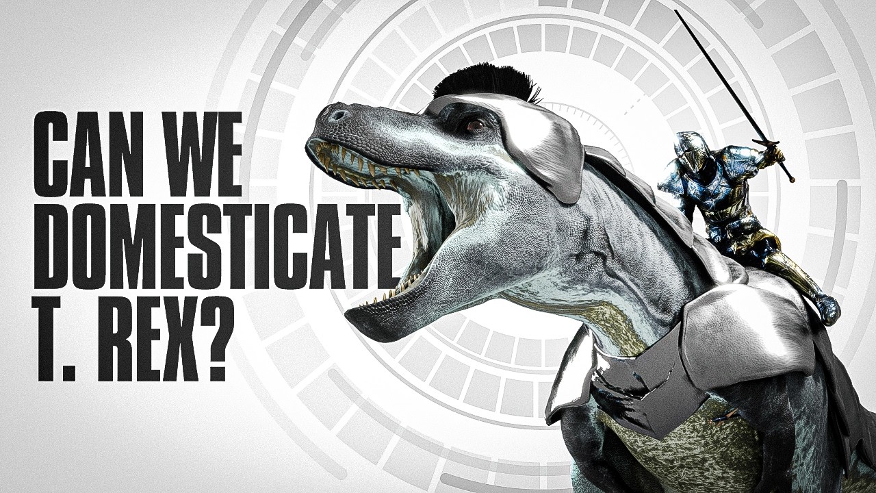 Could We Domesticate T. Rex?