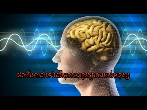 មូលហេតុបង្កផលប៉ះពាល់ដល់សុខភាពខួរក្បាលរបស់មនុស្ស