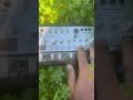 Sick bass riff out of tune