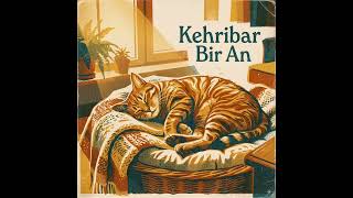 Kehribar Bir An Şarkımız Kanal Kedi TV YouTube'da #keşfet #music #remix