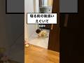 【1歳児】トイレの前で絶望中(後追い)#赤ちゃん #shorts