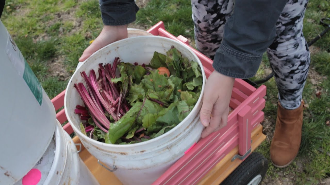 A Rad Idea: Sustainable Food Option Comes to Campus - YouTube