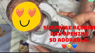 alicia's angels reborn nursery