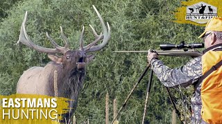 Colorado Elk  A Once In A Lifetime Hunt!