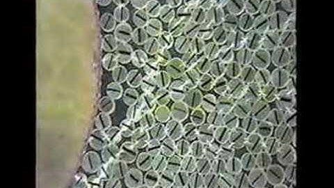 Granular friction: A slider experiment