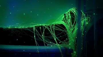 Multi-Sensory Environment calms/focuses students with disabilities