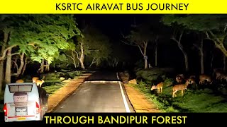 KSRTC AIRAVAT B9R BUS JOURNEY THROUGH BANDIPUR FOREST | Mudumalai Tiger Reserve