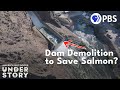 Is The Future of California&#39;s Salmon Dam Demolition?