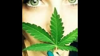 The Best Of Kabir Himmi من اروع اغاني كبير حيمي