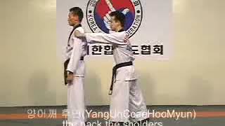 KHF techniques KOREA HAPKIDO FEDERATION