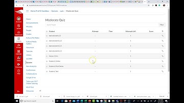 Adding Extra Time to Canvas Quiz for Student