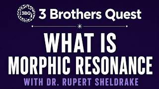 Morphic Resonance Explained: Rupert Sheldrake on Nature’s Memory