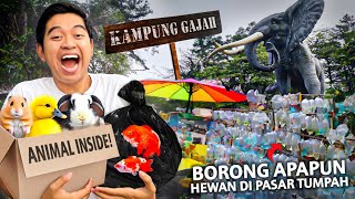 BELI APAPUN BINATANG DI PASAR TUMPAH KAMPUNG GAJAH TERBENGKALAI BANDUNG!