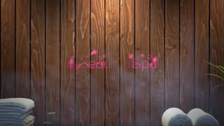 Logo Intro 81 (Spa)