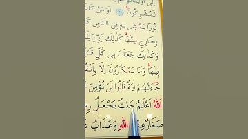 سورة الأنعام الأية 123 إلى 124 القارئ سعد الغامدي