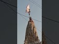 jay Dwarkadhish ❤️🚩#viralvideos #like #dwarka #dwarkadhishtemple