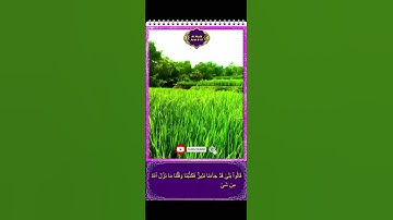 Hafalan Qur'an Surat Al Mulk Ayat 8-10 حفظ القرآن سورة الملك