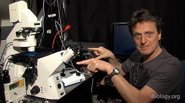 Microscopy: Adjusting the Eyepiece and Camera (Nico Stuurman)