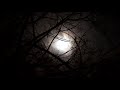 【FREE】piano type beat "MOONLIGHT" | HIPHOP | DARK | Guitar