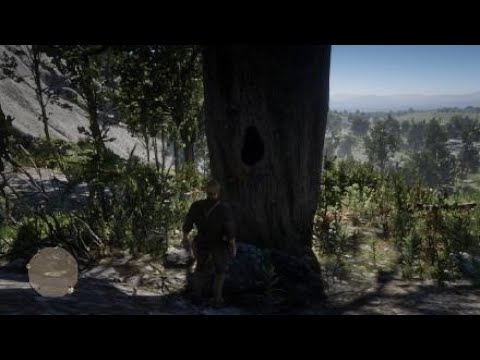 Red Dead Redemption 2: How to Solve Chick's Treasure Map