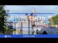 Disneyland Castle Area Tour (5K 3D 180°)