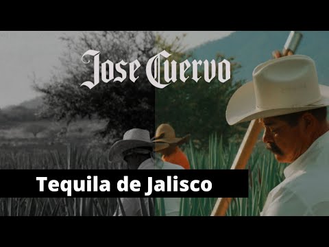 Video: La fortuna del tequila y cómo la familia Cuervo planea convertir el tequila en el valle de Napa de México