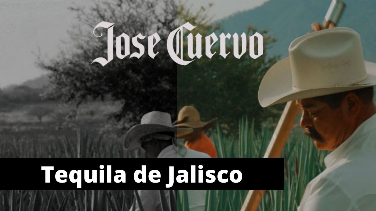 Historia de José Cuervo La Empresa Tequilera más grande del mundo