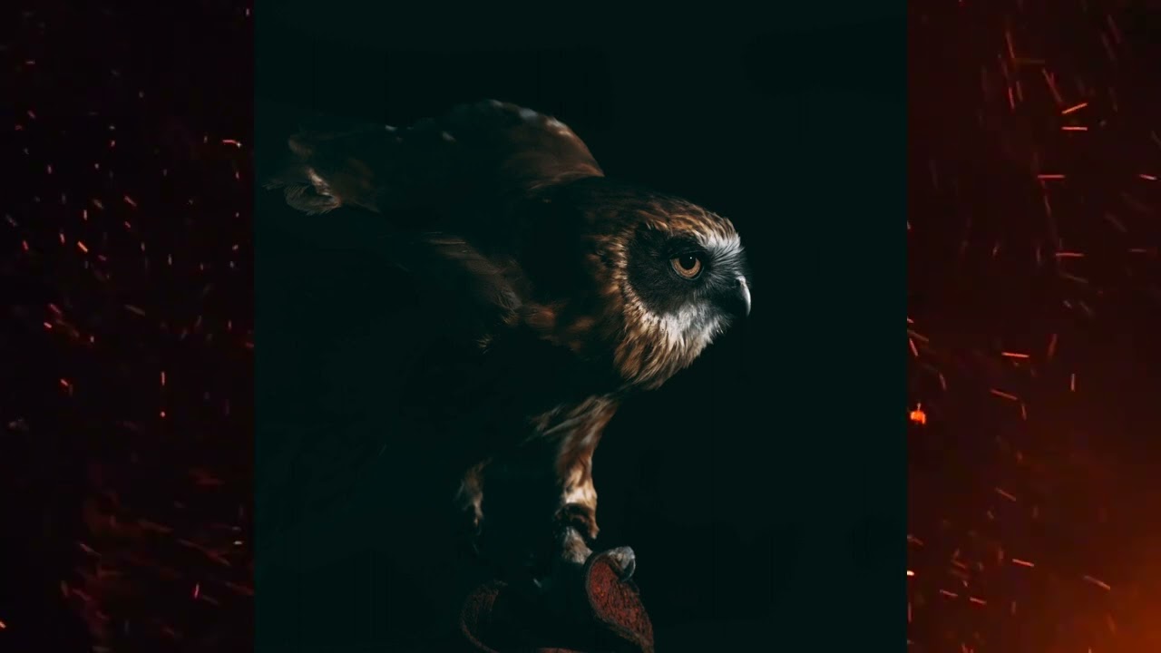 Guarda Godmode X BTWRKS X Lavito - ON TOP (Official Audio) su YouTube Guarda Godmode X BTWRKS X Lavito - ON TOP (Official Audio) su YouTube