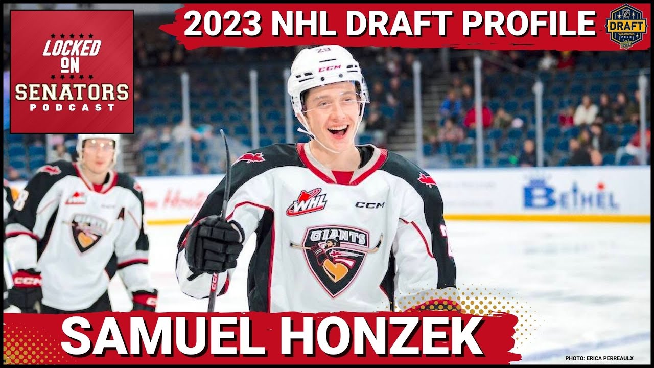 2023 NHL Draft Profile: Samuel Honzek - YouTube