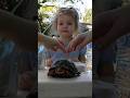 Turtle Lunch #family #fun #shorts #turtle