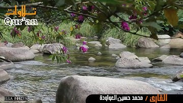 #تلاوة خاشعة بصوت الشيخ محمد حسين العواودة