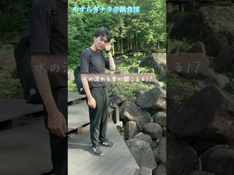 やすらぎナラ＠鍋倉渓【JTB公式Official】 #奈良 #奈良県 #鍋倉渓