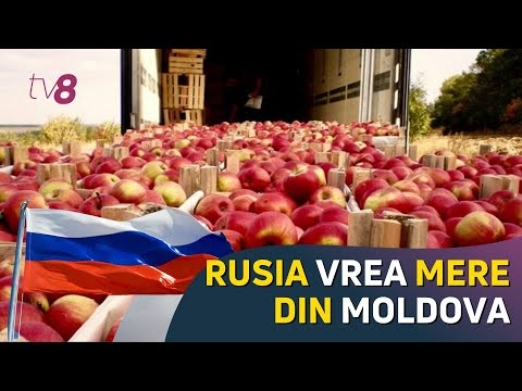 Rusia vrea mere din Moldova. Rusia a anunțat că reia importul de fructe din Republica Moldova