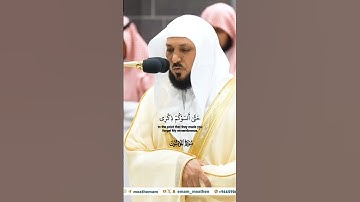 إنه كان فريق من عبادي يقولون ربنا_تلاوة مرئية_صلاة العشاء 22 ربيع الأول 1446هـ_الشيخ ماهر المعيقلي