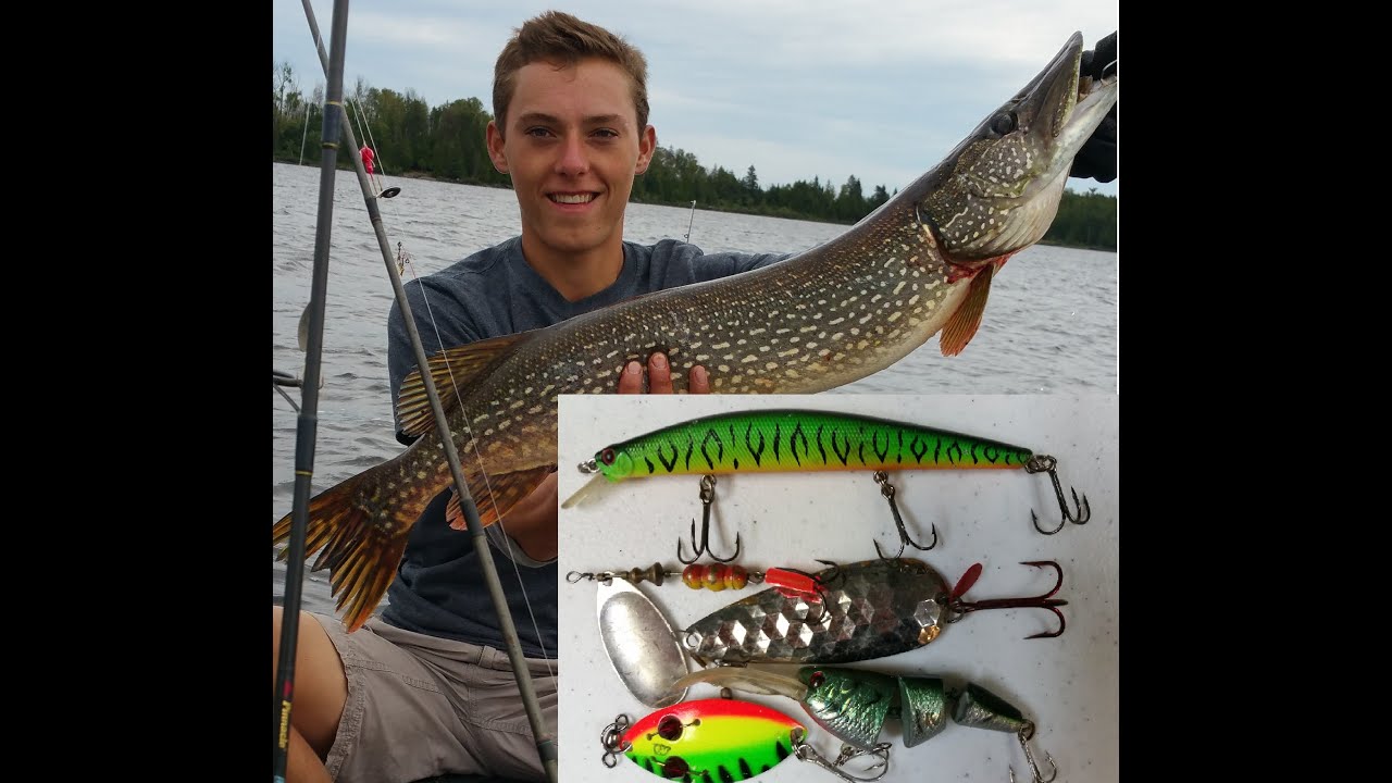 Bigger Lures Catch Bigger Pike—Mostly! MidWest Outdoors, 52% OFF