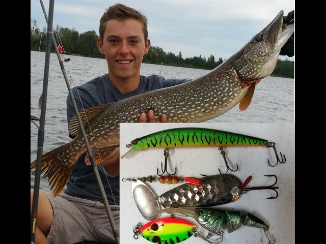 Best Pike Fishing Lures, Tips, and Techniques - How to Catch Basics 