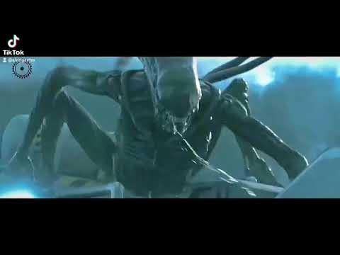Xenomorph vs Demogorgon - YouTube
