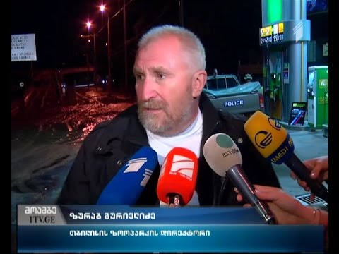 თბილისის ზოოპარკის დირექტორის კომენტარი