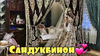 КУЧОЕ ДАРГИРИФТ?/ШУХИХОИ ПЕШ АЗ ТУЙ??8.11.2023