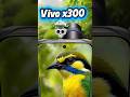 🤯Vivo x300 launch se pahle first looking ful review❤️🔥
