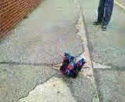 Commandobot 5 [[game over]]