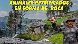 J.E. Ventura _Conociendo [LOS ANIMALES PETRIFICADOS 🐑🐟🐢🦍🦭EN FORMA DE UNA ROCA] Por Huayllayocc