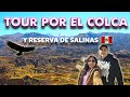 Tour Cañón del Colca 2022 🇵🇪 en 2 días y Reserva de Salinas + Presupuesto - Arequipa| DAV en Perú #3