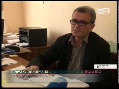 ხულოში მსხვილფეხა რქოსანი პირუტყვის რაოდენობა შემცირდა