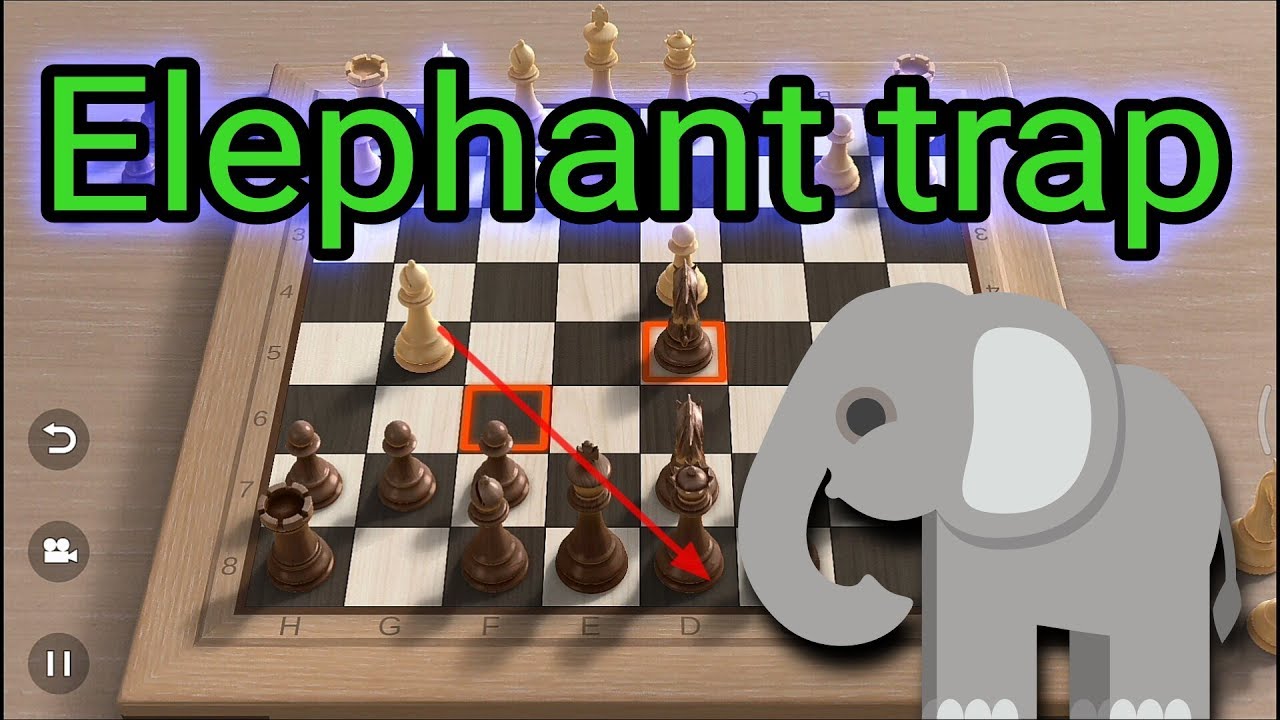 JEBAKAN CATUR  ELEPHANT TRAP gambit mentri  ditolak 