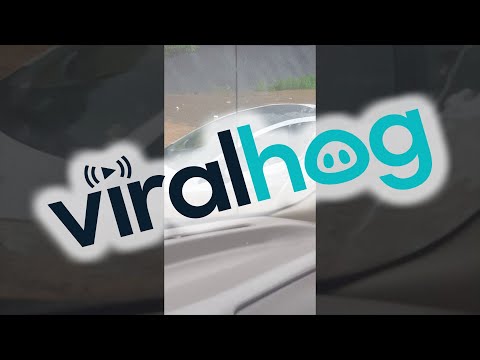 Prius Driving Through Flood Fail || ViralHog