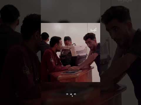 مقلب قط يدور فتة لبن بأرقى المطاعم ه #اضحك_من_قلبك #اكسبلور #اليمن #المهرية